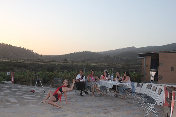 4-Hour Circus Under the Stars - Ticket Pricing and Availability