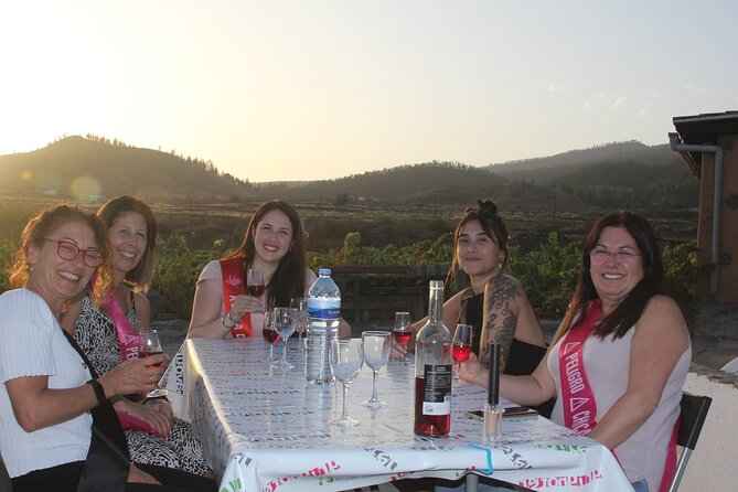 4-Hour Circus Under the Stars - The Sum Up