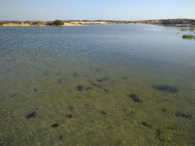 4 Hour Classic Boat Cruise, Ria Formosa Natural Park, Olhão. - Included Features