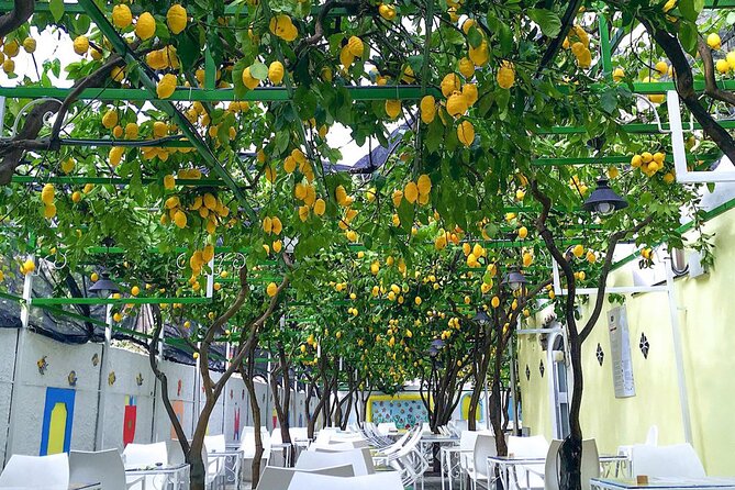 4 Hour Cruise on the Amalfi Coast With Aperitif and Lemontour - Tips for Participants