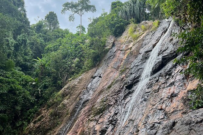 4-Hour Day Tour in Koh Samui - Traveler Reviews