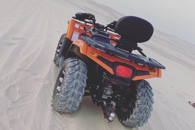 4 Hour Desert Safari, Camel Ride & Inland Sea Beach - Enjoying the Camel Ride and Inland Sea Beach