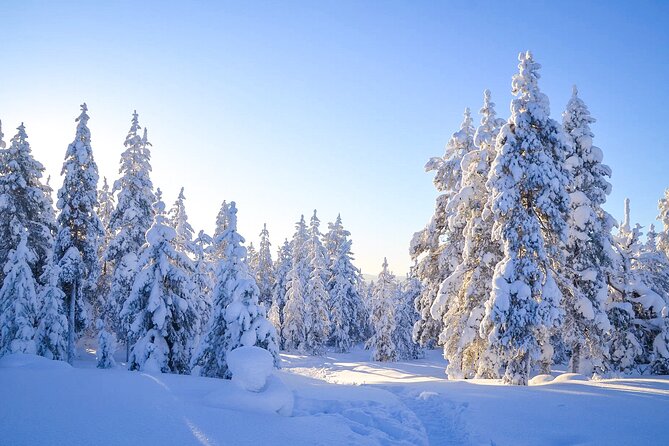 4 Hour Family Snowmobile Sledge Ride in Rovaniemi - Tour Details and Highlights