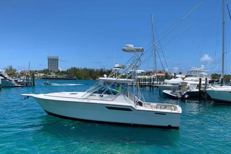 4 hour Fishing or Snorkeling - Practical Details and Considerations