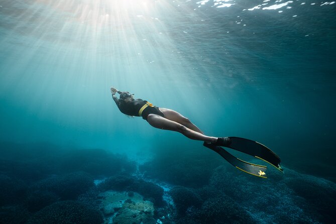 4-Hour Freediving Taster Experience at Shelly Beach, Manly - Common Questions