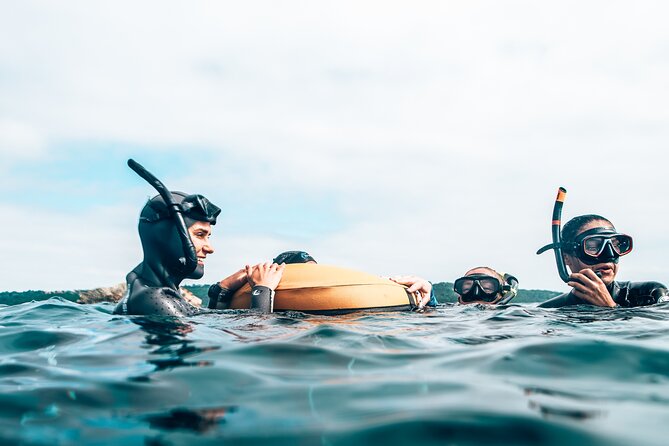 4-Hour Freediving Taster Experience at Shelly Beach, Manly - The Sum Up