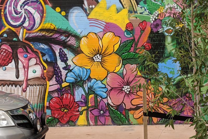 4-Hour Gourmet Food and Street Art Tour in Darwin - The guide matters as much as the menu
