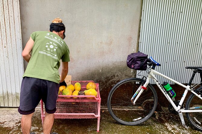 4 Hour Guided Cycling Experience in Yakushima - Pickup and End Point