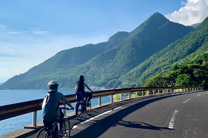 4 Hour Guided Cycling Experience in Yakushima - Common Questions