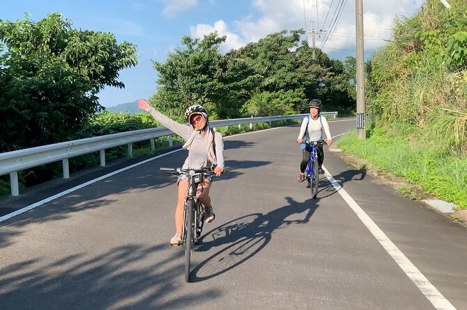 4 Hour Guided Cycling Experience in Yakushima - The Sum Up