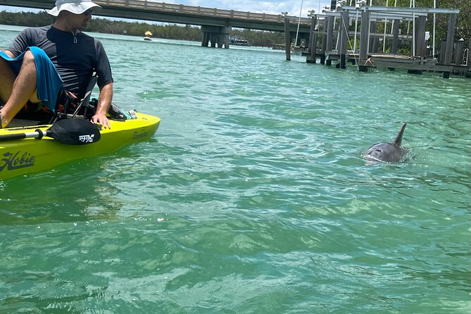 4-Hour Guided Kayak Adventure in Bonita Springs - The Sum Up