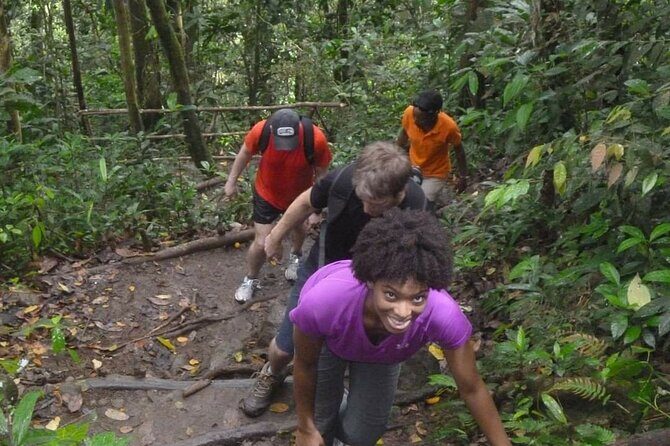 4-Hour Hiking to Gros Piton St Lucia with Tour Guide - Why Choose the Gros Piton Hike?