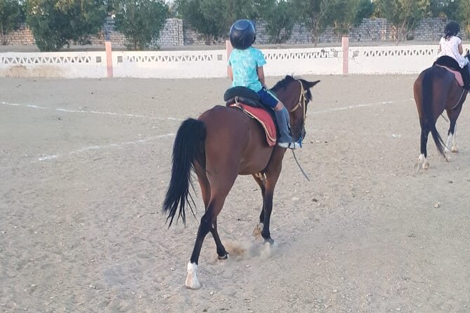 4 Hour Horse Riding in the Desert and Sea - What to Expect During the Ride