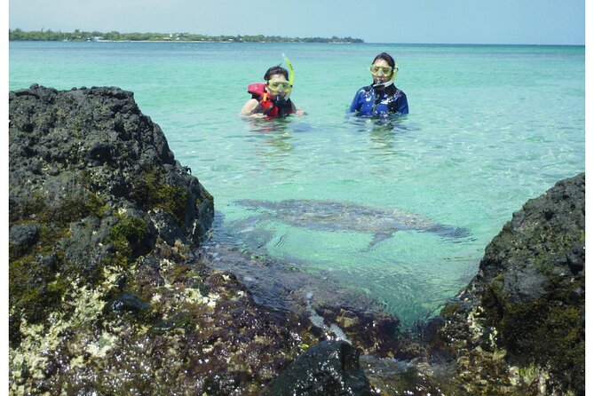 4-hour Kailua-Kona Ocean Kayak and Snorkel Tour - Tour Experience