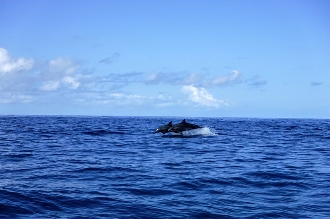 4-hour Kailua-Kona Ocean Kayak and Snorkel Tour - Additional Information and Restrictions