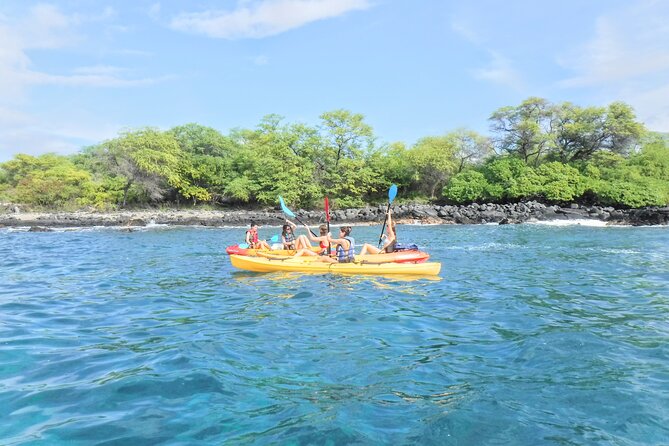 4-hour Kailua-Kona Ocean Kayak and Snorkel Tour - Customer Reviews and Feedback