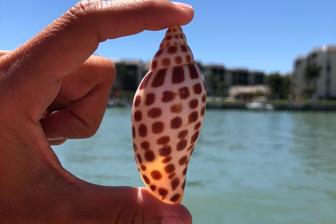 4 Hour Kice Island Shelling Trip - Trip Itinerary