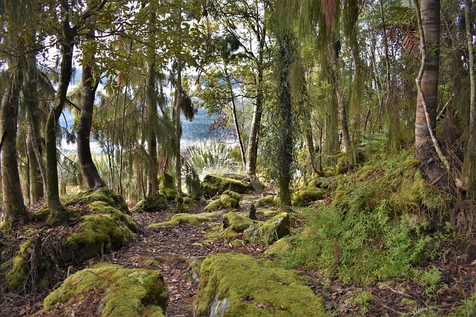 4-Hour Lake Mapourika Kayak and Hike Adventure, With Okarito Kiwi Sanctuary - Traveler Photos and Reviews