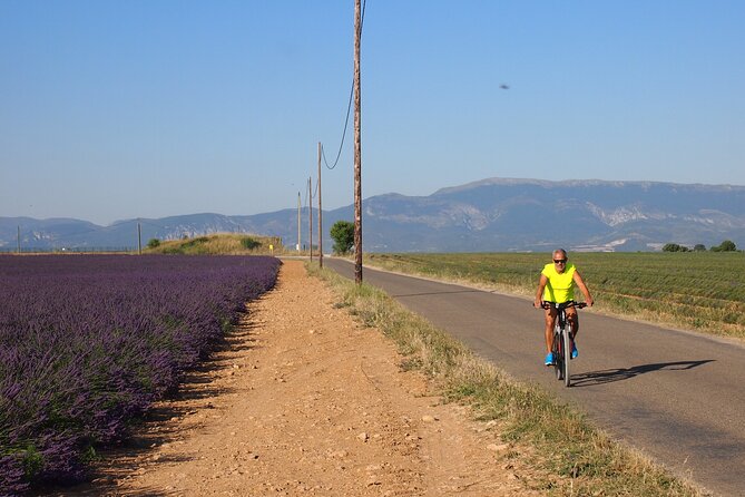 4-Hour Lavender Fields Tour in Valensole From Aix-En-Provence - Inclusions