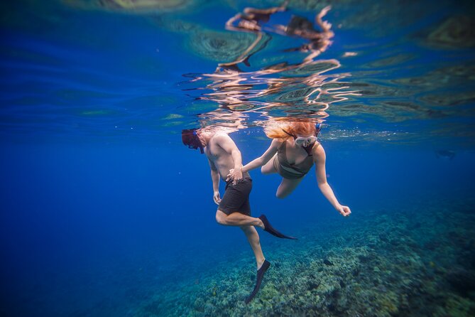 4-Hour Molokini Crater Plus Turtle Town Snorkeling Experience - Tour Operators