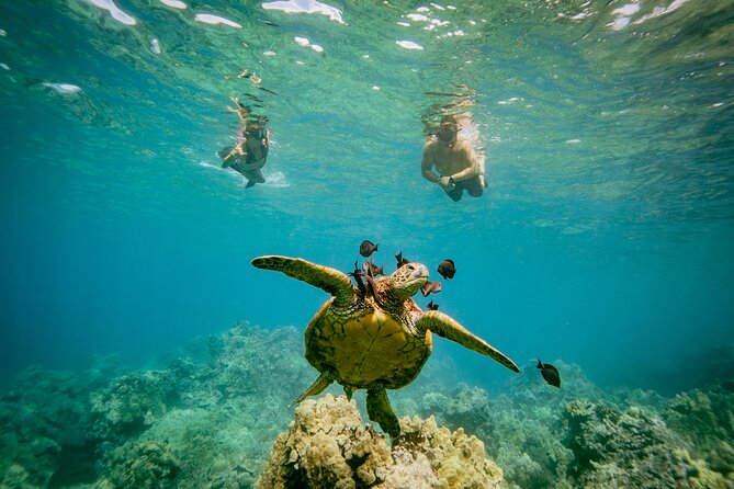 4-Hour Molokini Crater Plus Turtle Town Snorkeling Experience - Common Questions