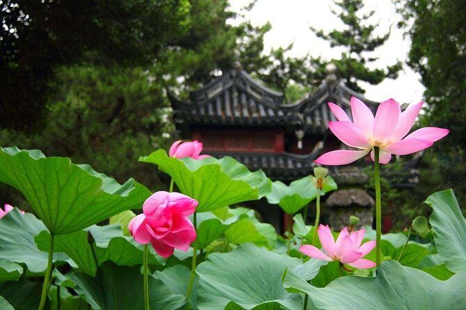 4-Hour Nanxiang Ancient Town Private Tour with Dumpling Tasting - FAQ