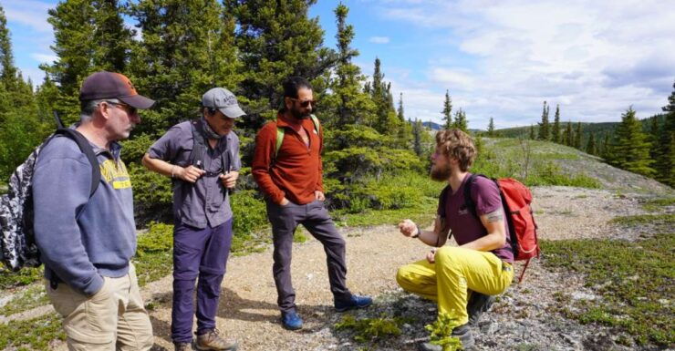 4 Hour Off-Trail Wilderness Wonders Tour in Denali - Good To Know