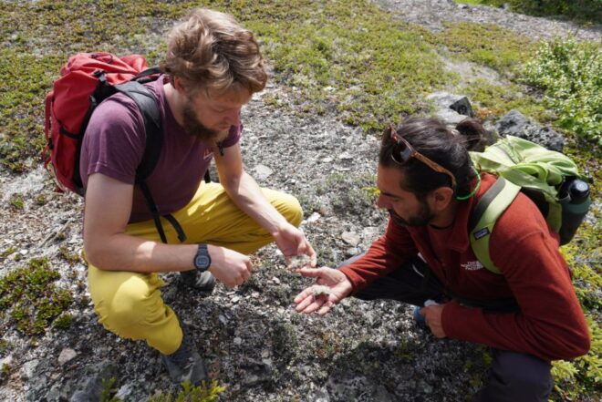 4 Hour Off-Trail Wilderness Wonders Tour in Denali - Inclusions