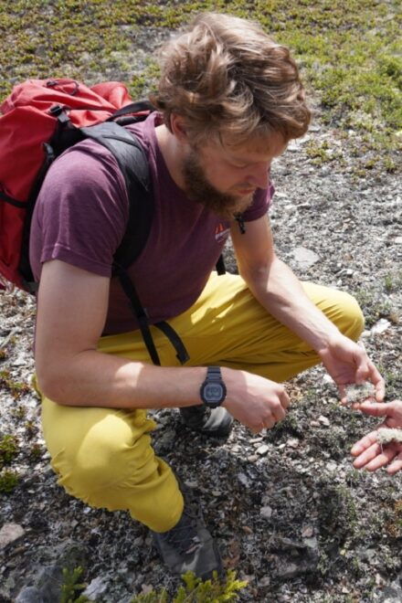 4 Hour Off-Trail Wilderness Wonders Tour in Denali - Discovering Native Cultures
