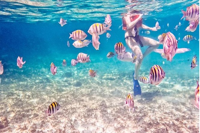 4-Hour Private 44 Leopard Luxury Catamaran Tour W/ Food, Open Bar & Snorkeling - Meeting Point and Logistics