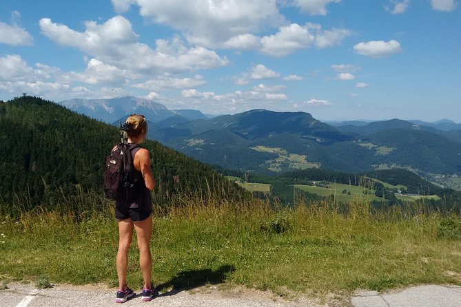 4-Hour Private Alpine Great George at High Wall Mountain From Vienna - Additional Information