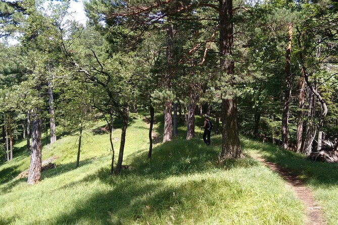 4-Hour Private Alpine Hiking Tour Enzian - Additional Information