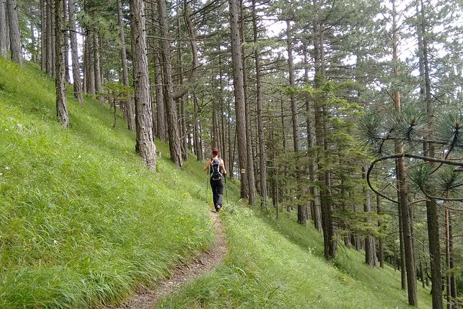 4-Hour Private Alpine Hiking Tour Enzian - Pricing and Booking