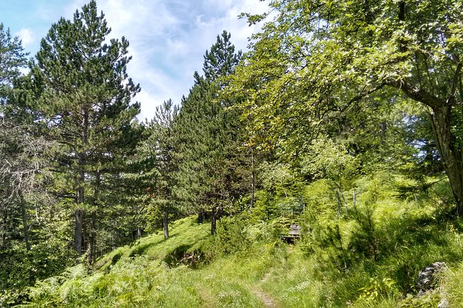 4-Hour Private Alpine Hiking Tour Enzian - Frequently Asked Questions