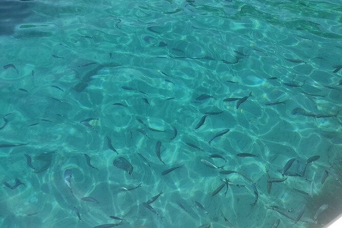 4-Hour Private Boat Tour in Corfu - Directions