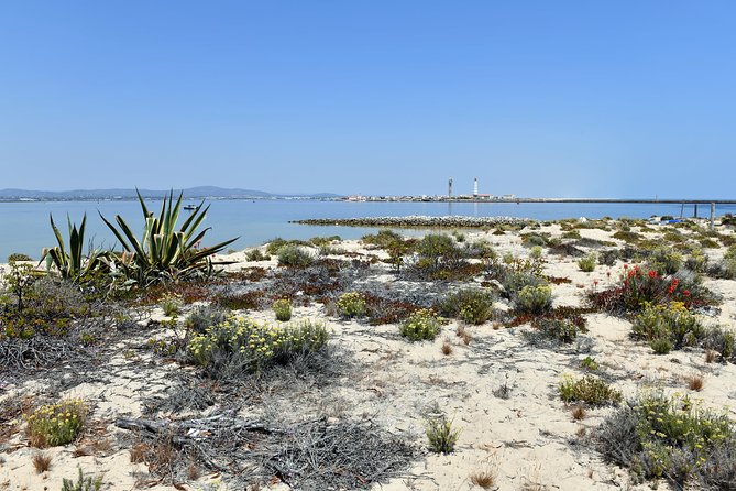 4-Hour Private Boat Tour in Ria Formosa - Traveler Photos and Reviews
