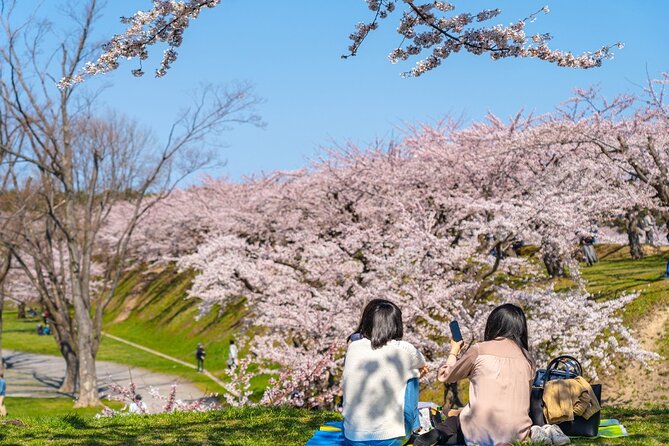 4 Hour Private Cherry Blossom "Sakura" Experience in Nagasaki - Cherry Blossom Viewing in Nagasaki