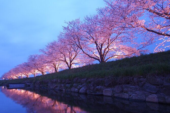 4 Hour Private Cherry Blossom "Sakura" Experience in Nagasaki - Private Guided Tour