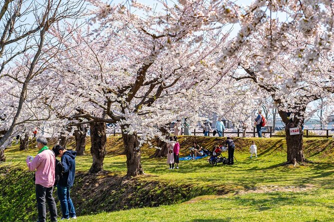 4 Hour Private Cherry Blossom "Sakura" Experience in Nagasaki - Additional Tips and Recommendations