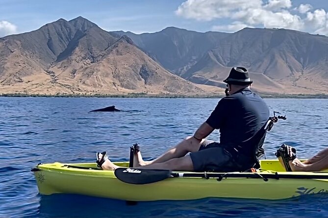 4 Hour Private Custom Kayak Tour Lahaina - Meeting and Pickup