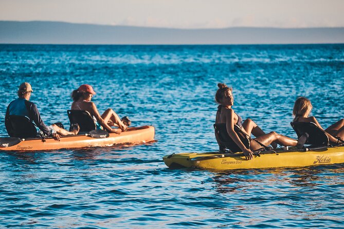4 Hour Private Custom Kayak Tour Lahaina - Expectations and Restrictions