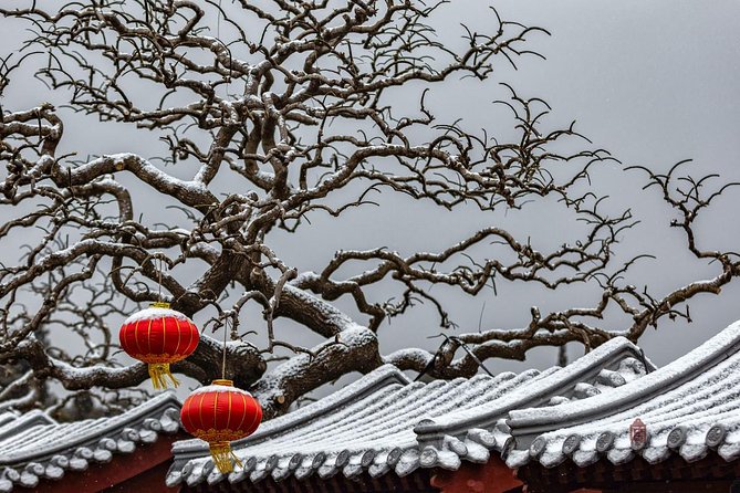4-Hour Private Forbidden City Walking Tour With Birds Viewoption - Pricing Details