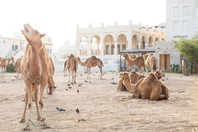 4-Hour Private Group City Tour in Doha, Qatar - Tour Highlights
