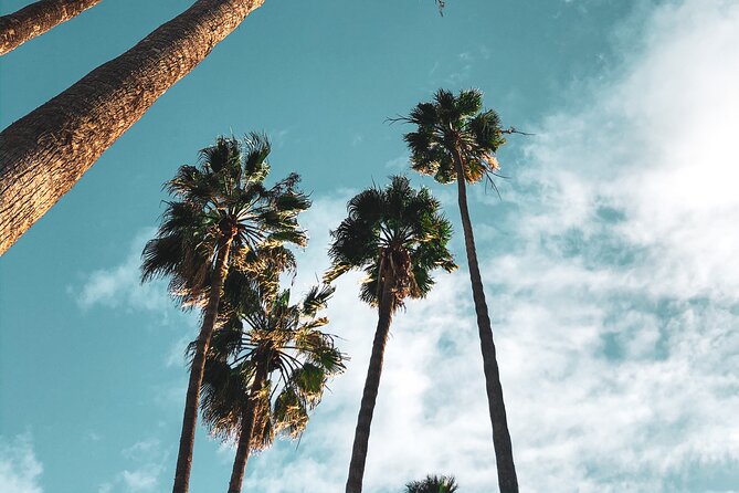 4-Hour Private Haunted Hollywood Tour - Pricing and Payment Details