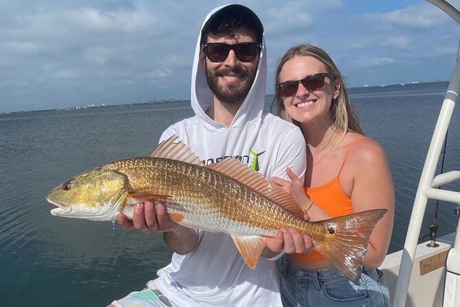 4-Hour Private Inshore Fishing Trip in Sarasota - What to Expect
