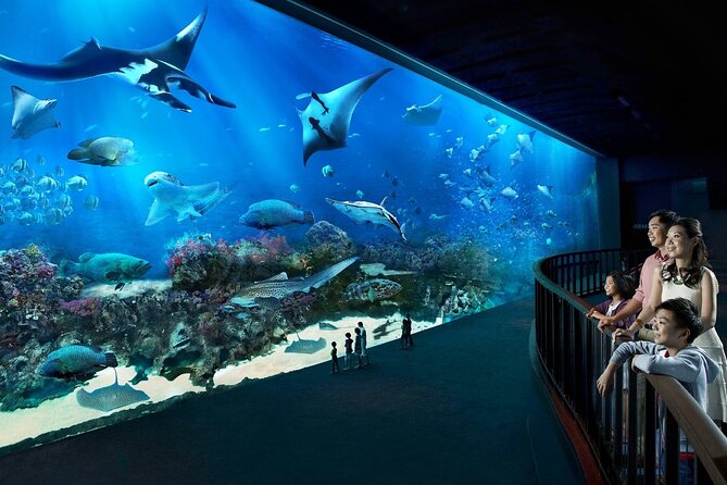 4-Hour Private Luxurious Sentosa Walking Tour in Singapore - Tour Highlights
