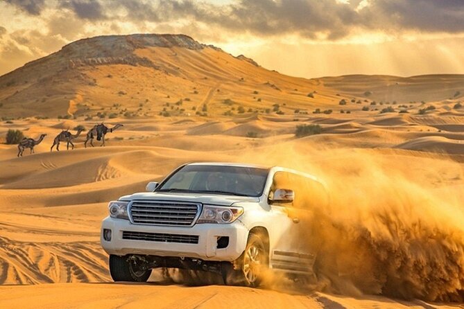 4-Hour Private Morning Desert Safari Jeep Admiring Desert Flora and Fauna - Pickup Points