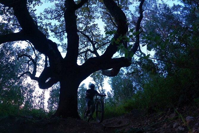 4 Hour Private MTB Enduro Trail Tour in Sintra Mountain - Equipment and Safety