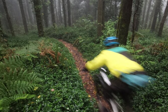 4 Hour Private MTB Enduro Trail Tour in Sintra Mountain - Booking Information