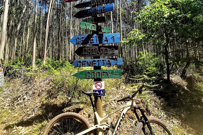 4 Hour Private MTB Enduro Trail Tour in Sintra Mountain - Common Questions